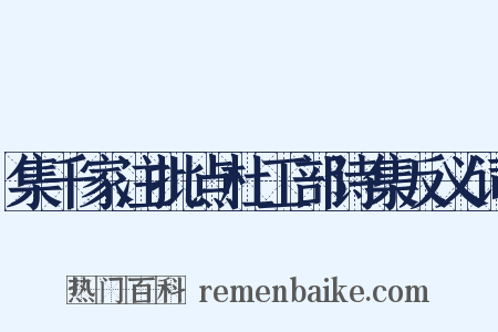 集千家注批点杜工部诗集反义词是什么意思的图片